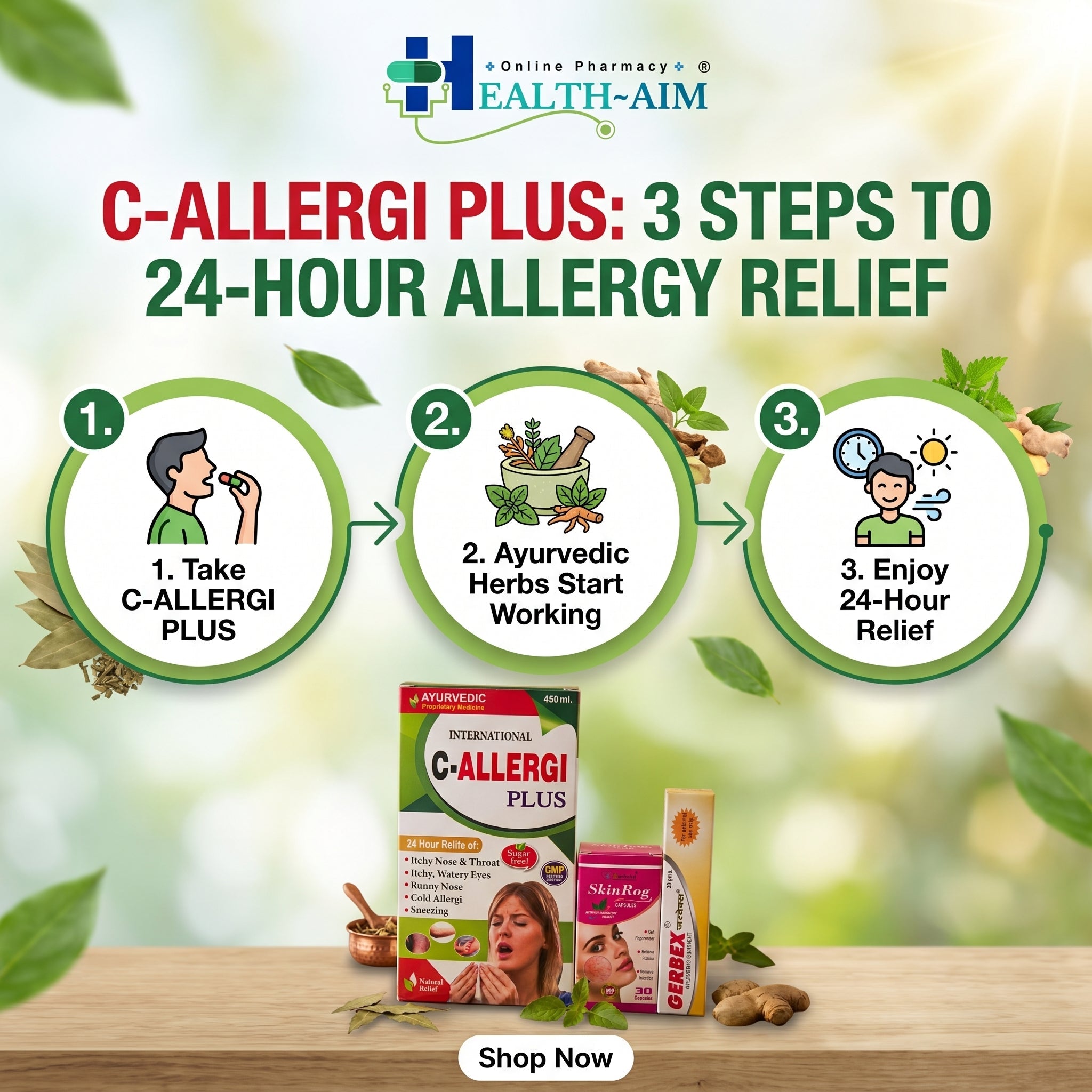 Ayurvedic Skin Care Allergi Combo Kit SkinRog Capsule, C - Allergi Plus Syrup & Gerbex Ointment Combo | 30Caps + 450ml + 20gm | Combo Pack - HEALTH AIM PHARMACY