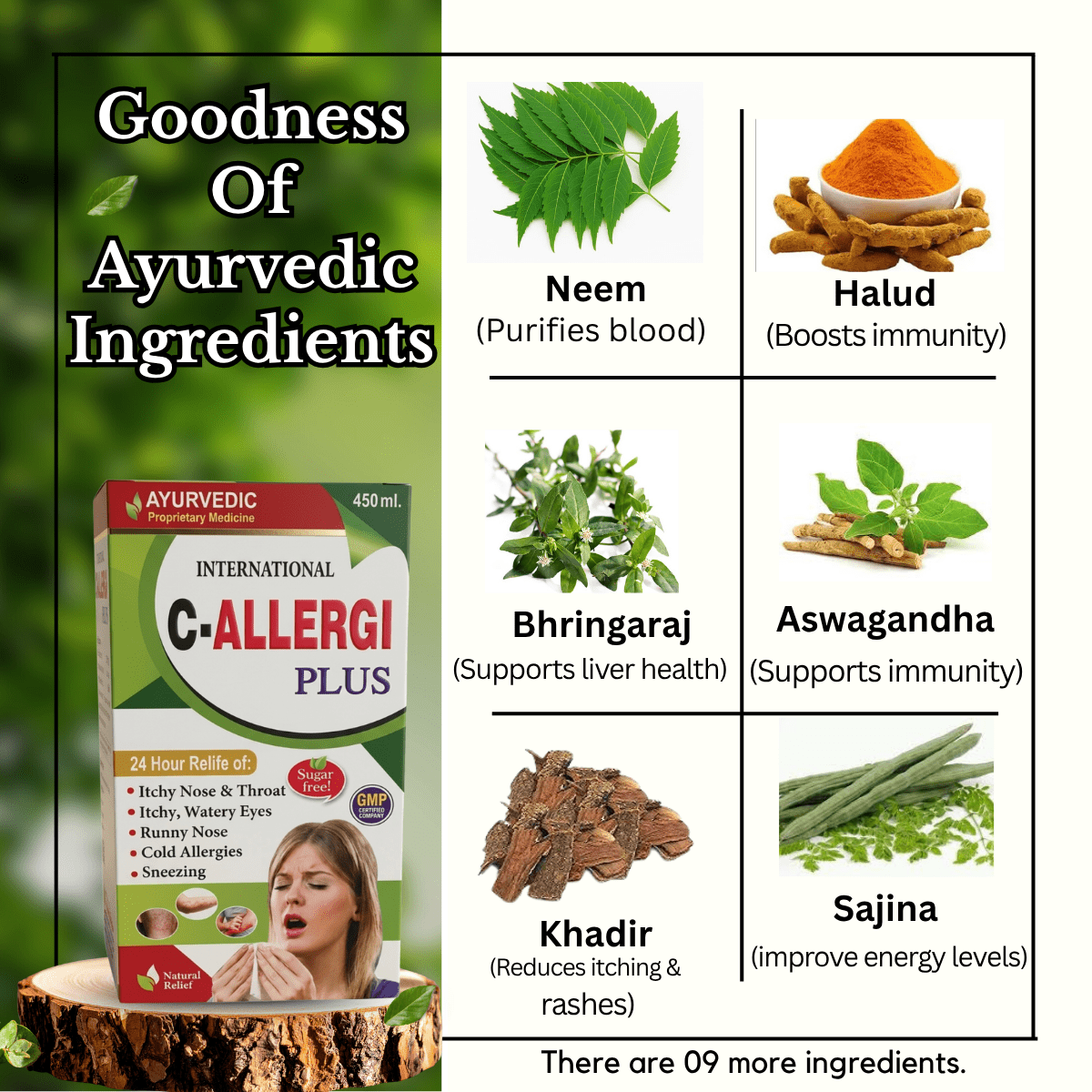 Ayurvedic Skin Care Combo C - Allergi Plus Syrup 450ml + SkinRog 30 Capsule + Derma 24 Carat Skin Cream 25g & Neem Guard Face Wash 60g - HEALTH AIM PHARMACY