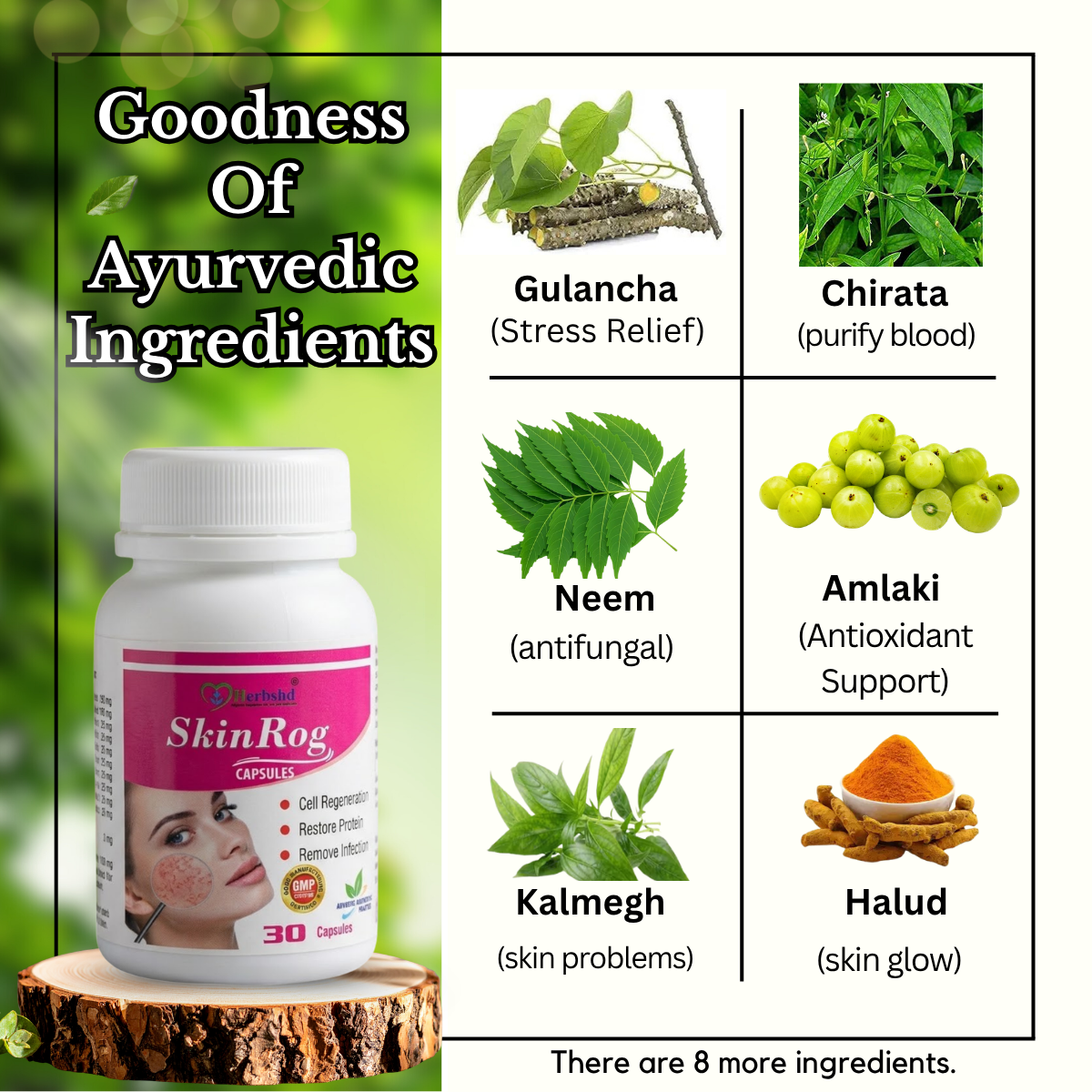 Ayurvedic Skin Care Combo C - Allergi Plus Syrup 450ml + SkinRog 30 Capsule + Derma 24 Carat Skin Cream 25g & Neem Guard Face Wash 60g - HEALTH AIM PHARMACY