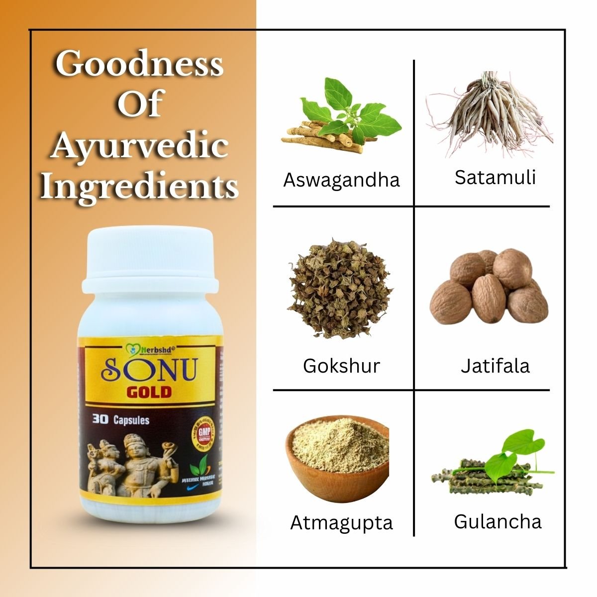 Ayurvedic Sonu Gold + Kamini Vidrawan Ras (Keshar Yukta) Combo – Strength, Stamina & Vitality Booster for Men - HEALTH AIM PHARMACY