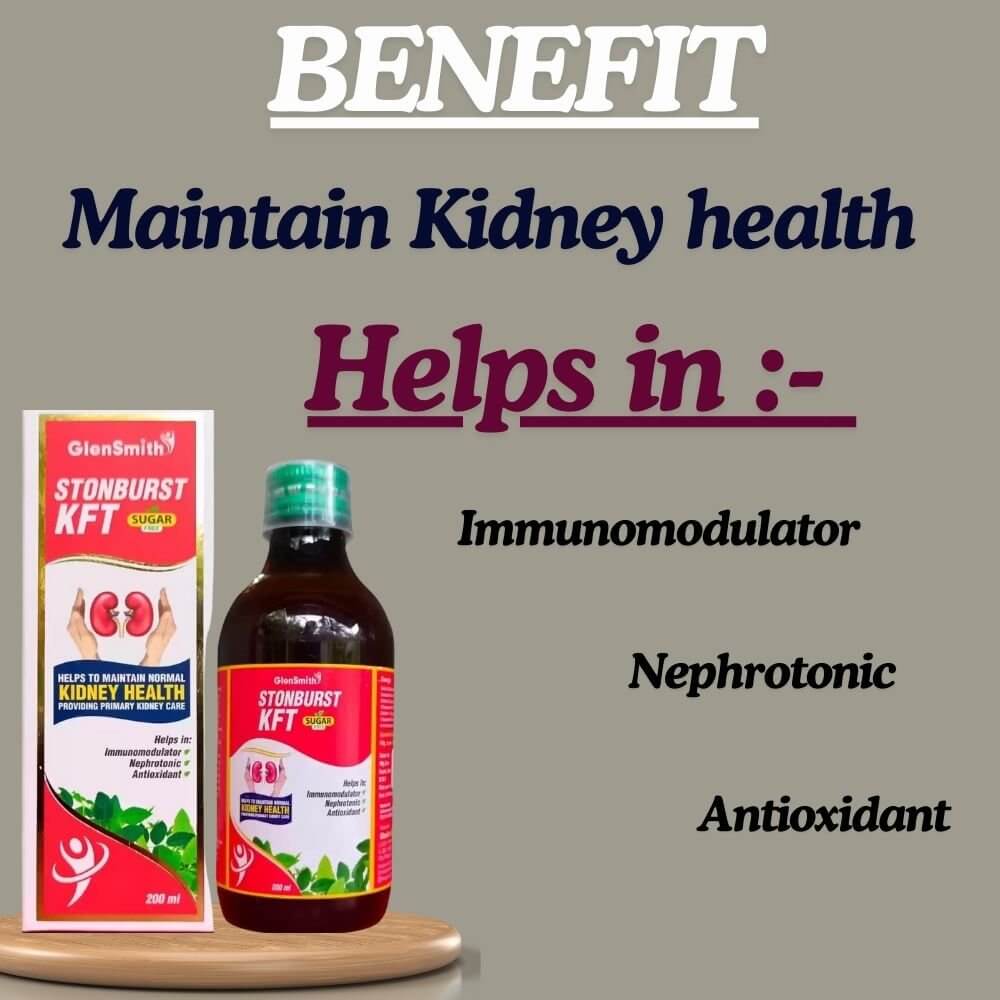 Ayurvedic STONBURST KFT syrup (Pack of 2) - HEALTH AIM PHARMACY
