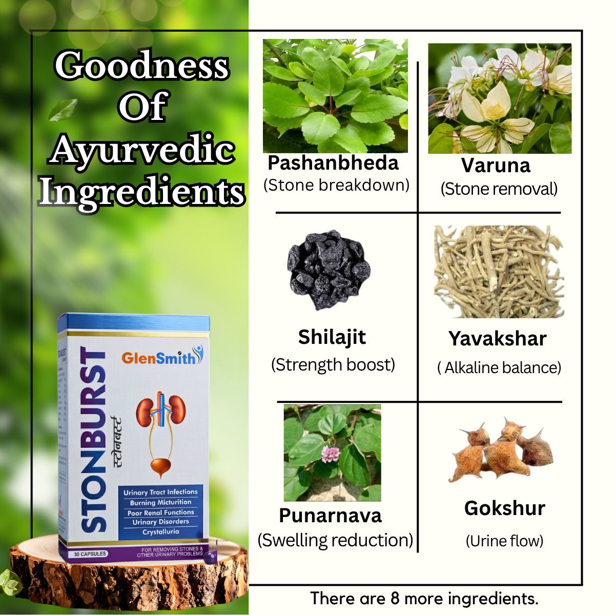 Ayurvedic Stonil Syrup & Stonburst Capsule Combo | 200ml + 30Caps | Combo Pack - HEALTH AIM PHARMACY