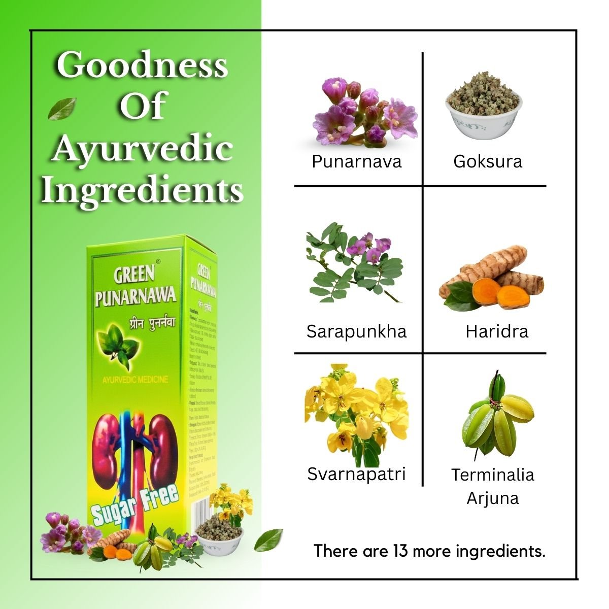 Ayurvedic The Fatty Liver Capsule + Green Punarnawa Syrup | Ultimate Liver, Kidney & Detox Care Combo | 200ml + 30Caps - HEALTH AIM PHARMACY