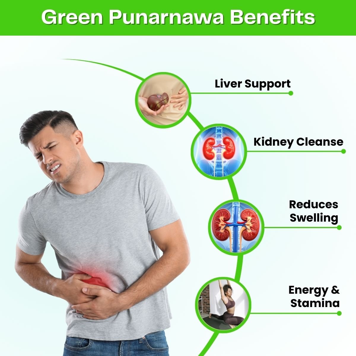 Ayurvedic The Fatty Liver Capsule + Green Punarnawa Syrup | Ultimate Liver, Kidney & Detox Care Combo | 200ml + 30Caps - HEALTH AIM PHARMACY