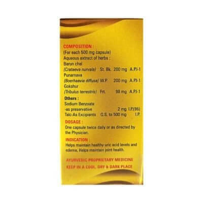 Ayurvedic URI - T CAPSULE (pack of 2) - HEALTH AIM PHARMACY