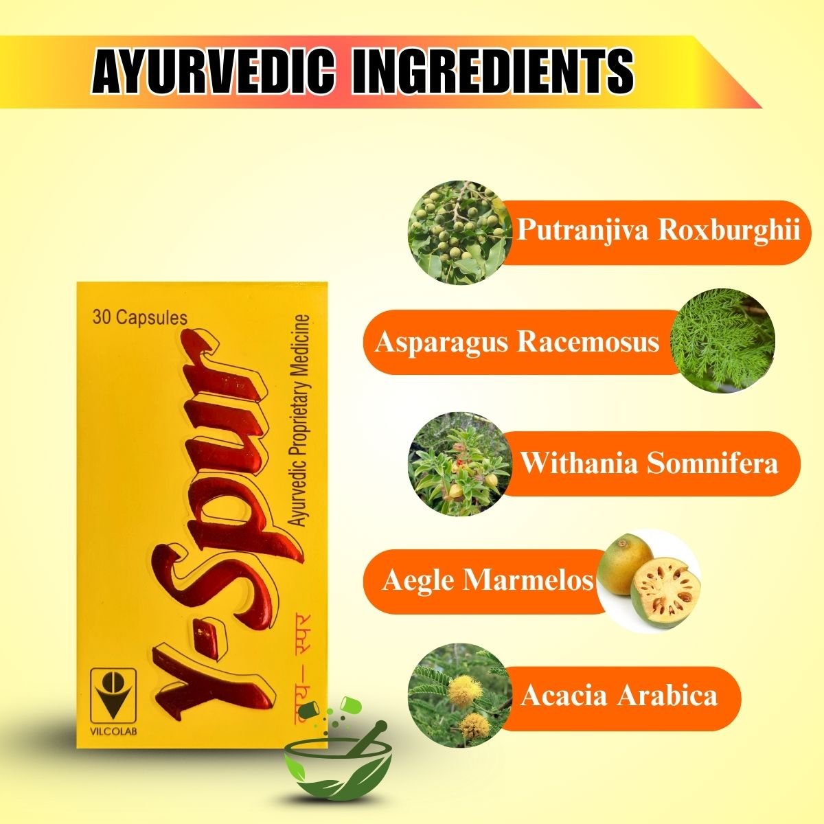 Ayurvedic Y Spur Capsule | Strength Stamina Energy Booster | Daily Ayurvedic Supplement | 30 Capsules - HEALTH AIM PHARMACY