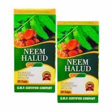 Biswas Nim Haldi Capsule Pack Of 2 - HEALTH AIM PHARMACY
