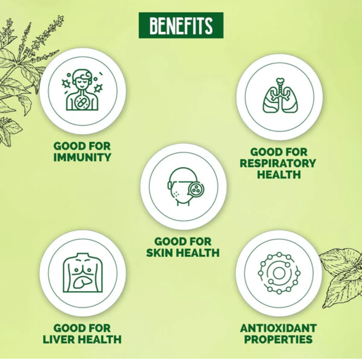 Dabur Giloy Neem Tulsi Juice for Immunity, Respiratory, Skin & Liver Health - 1L - HEALTH AIM PHARMACY