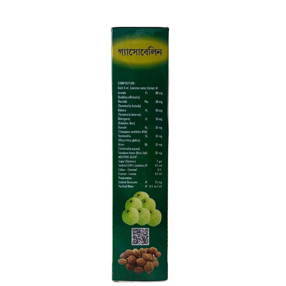 Gita Ayurvedic Fast Gas Relife Gasobelin Syrup 450 ml. (pack of 2) - HEALTH AIM PHARMACY