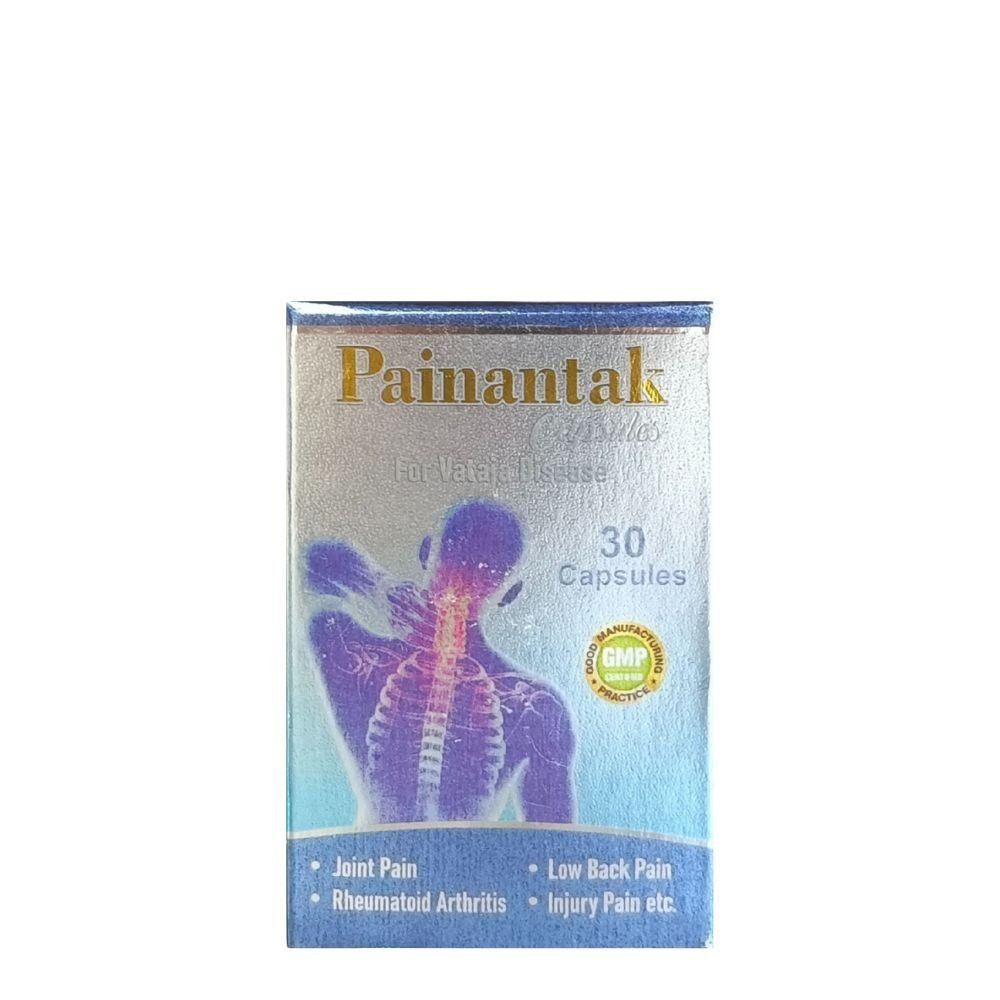 Gita Ayurvedic Painantak 30 Capsules (pack of 2) - HEALTH AIM PHARMACY