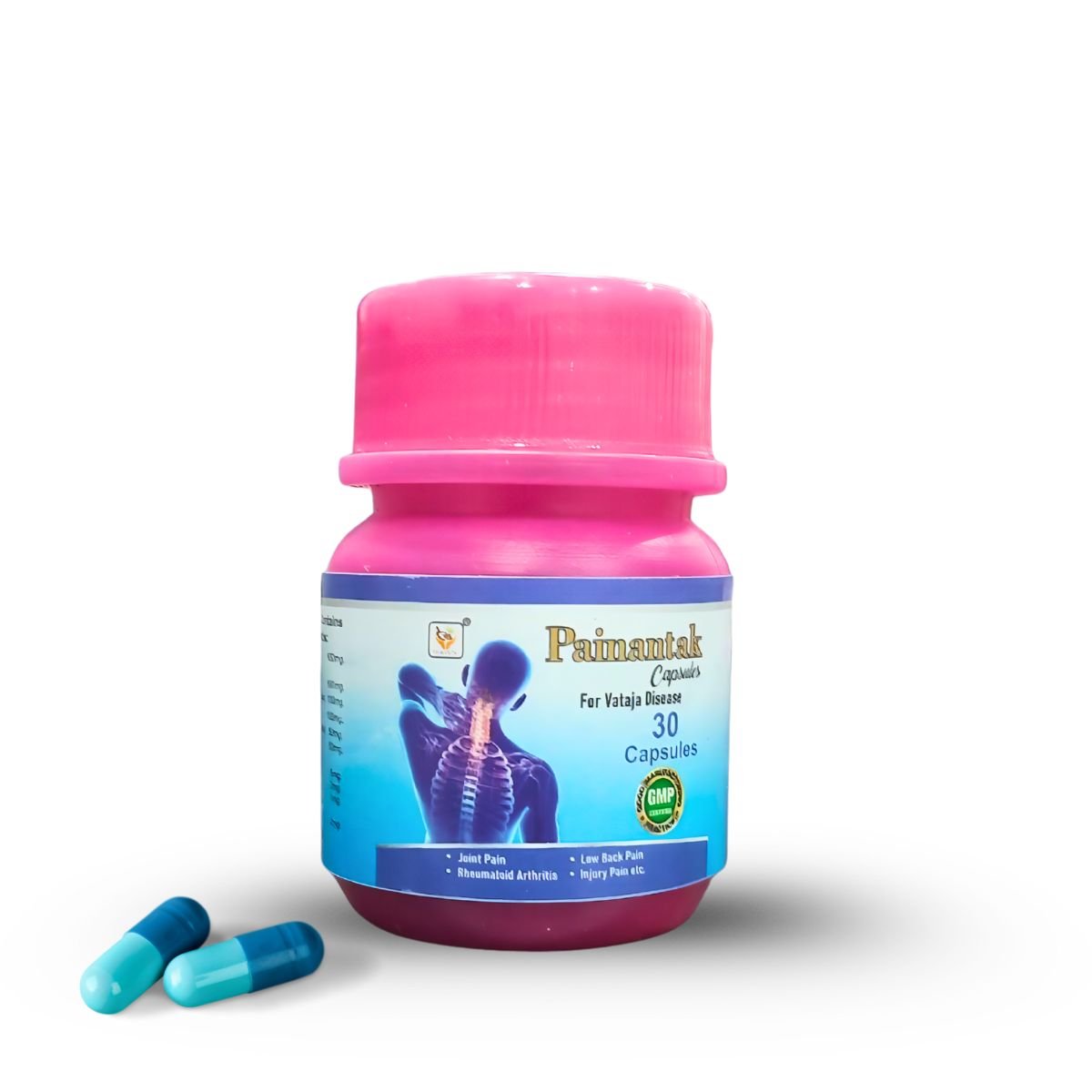 Gita Ayurvedic Painantak Capsule & PAIN-QR Pain Oil | 30 Cap + 100ml | Combo Pack - HEALTH AIM PHARMACY