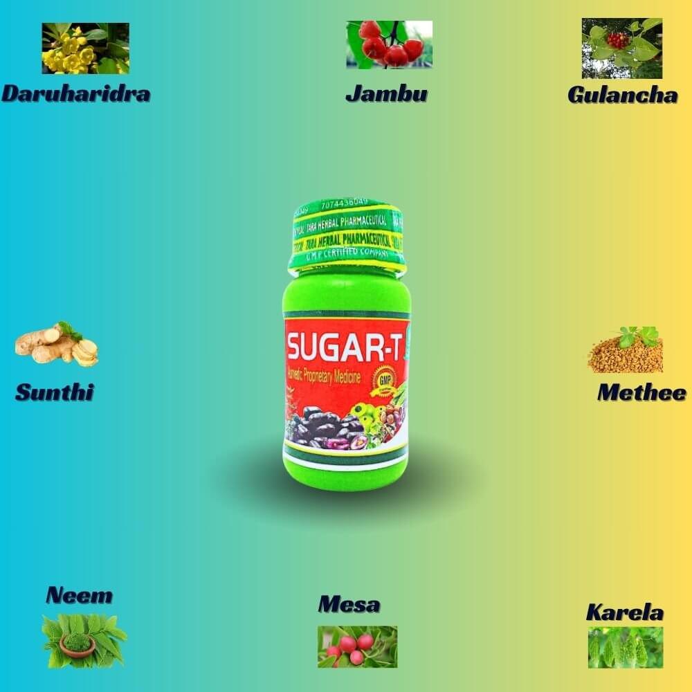Herbshd Ayurvedic DMDIA Anti - sugar capsule & Sugar - T capsule combo - HEALTH AIM PHARMACY