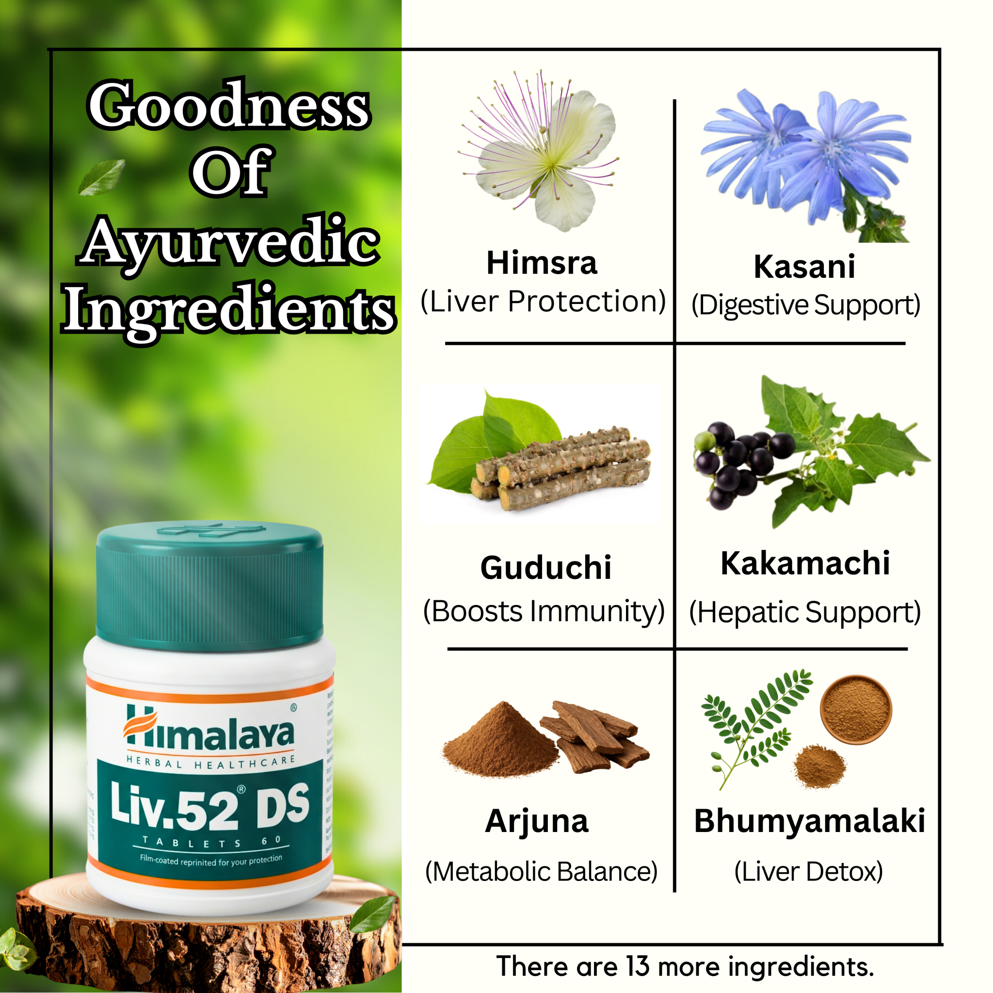 Himalaya Liv.52 DS 60 Tablet (Pack of 3) - HEALTH AIM PHARMACY