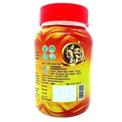 Lama Kamovit Churna 100 g.m(pack of 2) - HEALTH AIM PHARMACY