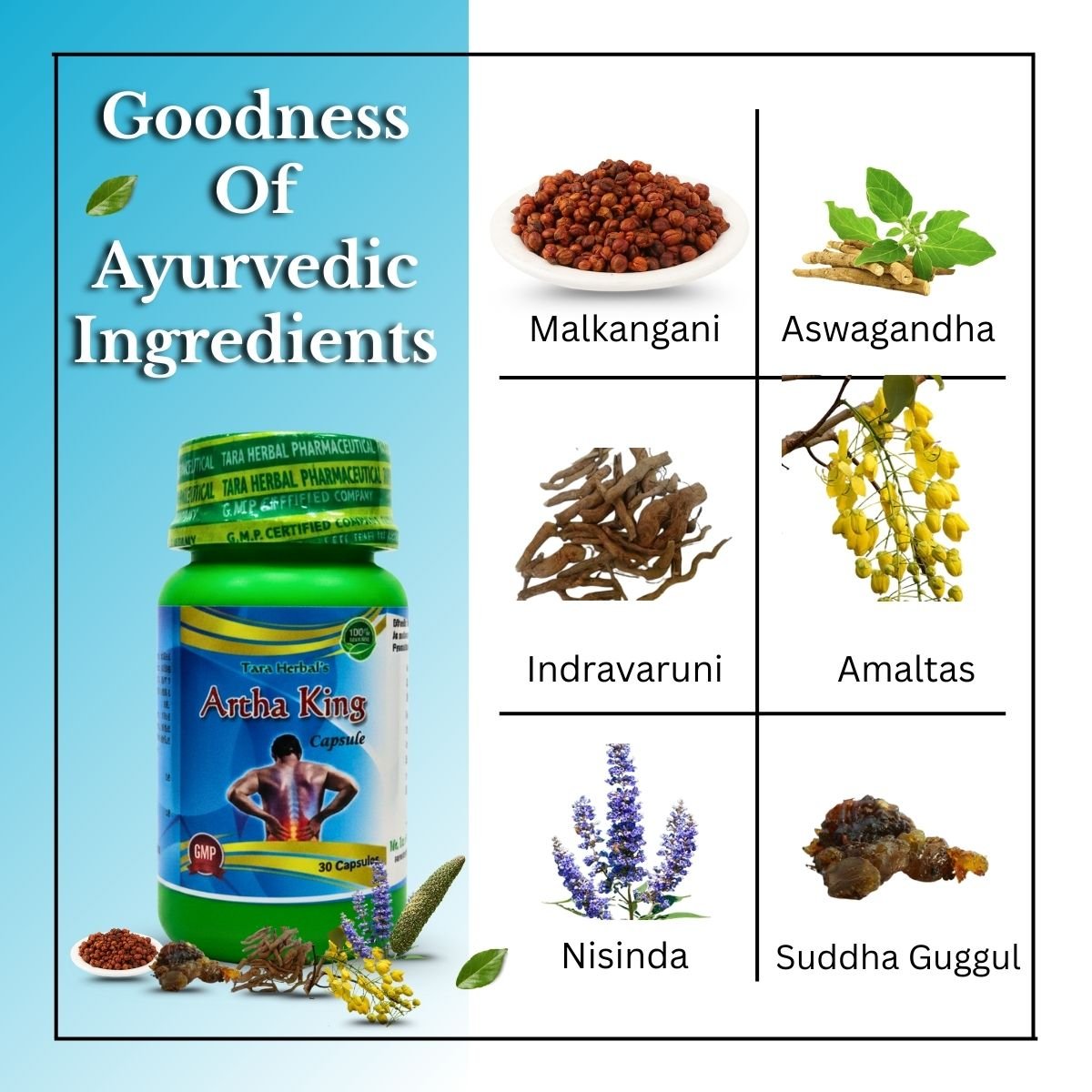 Pain - QR Pain Relief Oil + Ayurvedic Artha King Capsule – Ultimate Joint & Body Pain Relief Combo | 100ml + 30Cap - HEALTH AIM PHARMACY