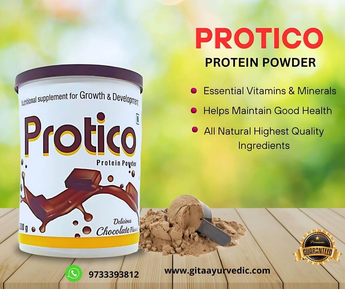 Protico Protein Powder 200g (pack of 2) - HEALTH AIM PHARMACY