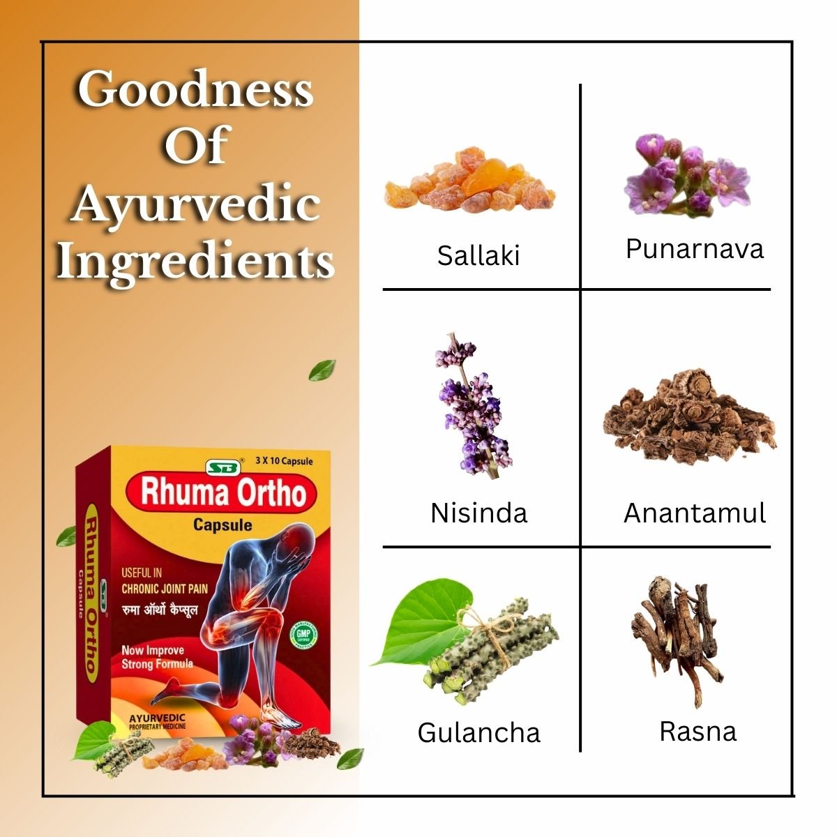 Rhuma Ortho Capsule To relieve chronic joint pain ( pack of 2) - HEALTH AIM PHARMACY