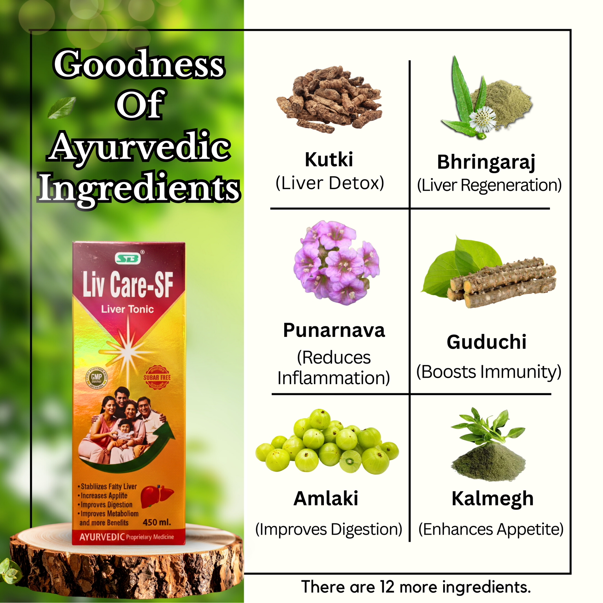 SB Liv Care - SF Liver Tonic 450ml. (pack of 2) - HEALTH AIM PHARMACY