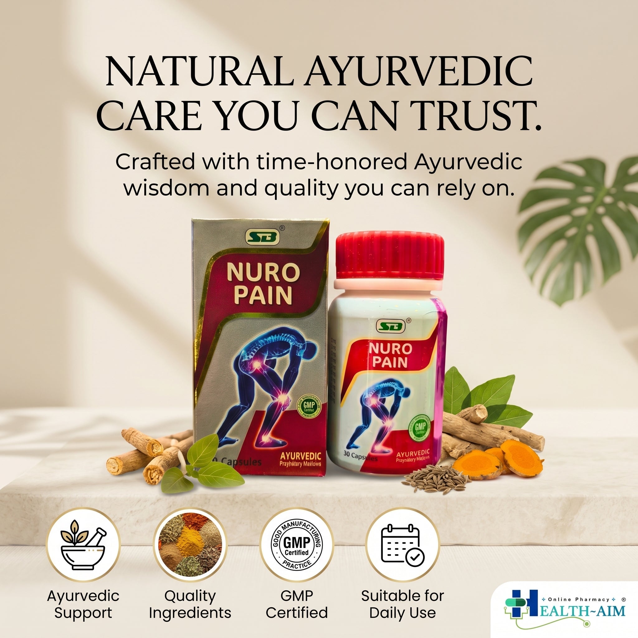 SB Nuro Pain Capsule is an Ayurvedic supplement (pack of 2) - HEALTH AIM PHARMACY
