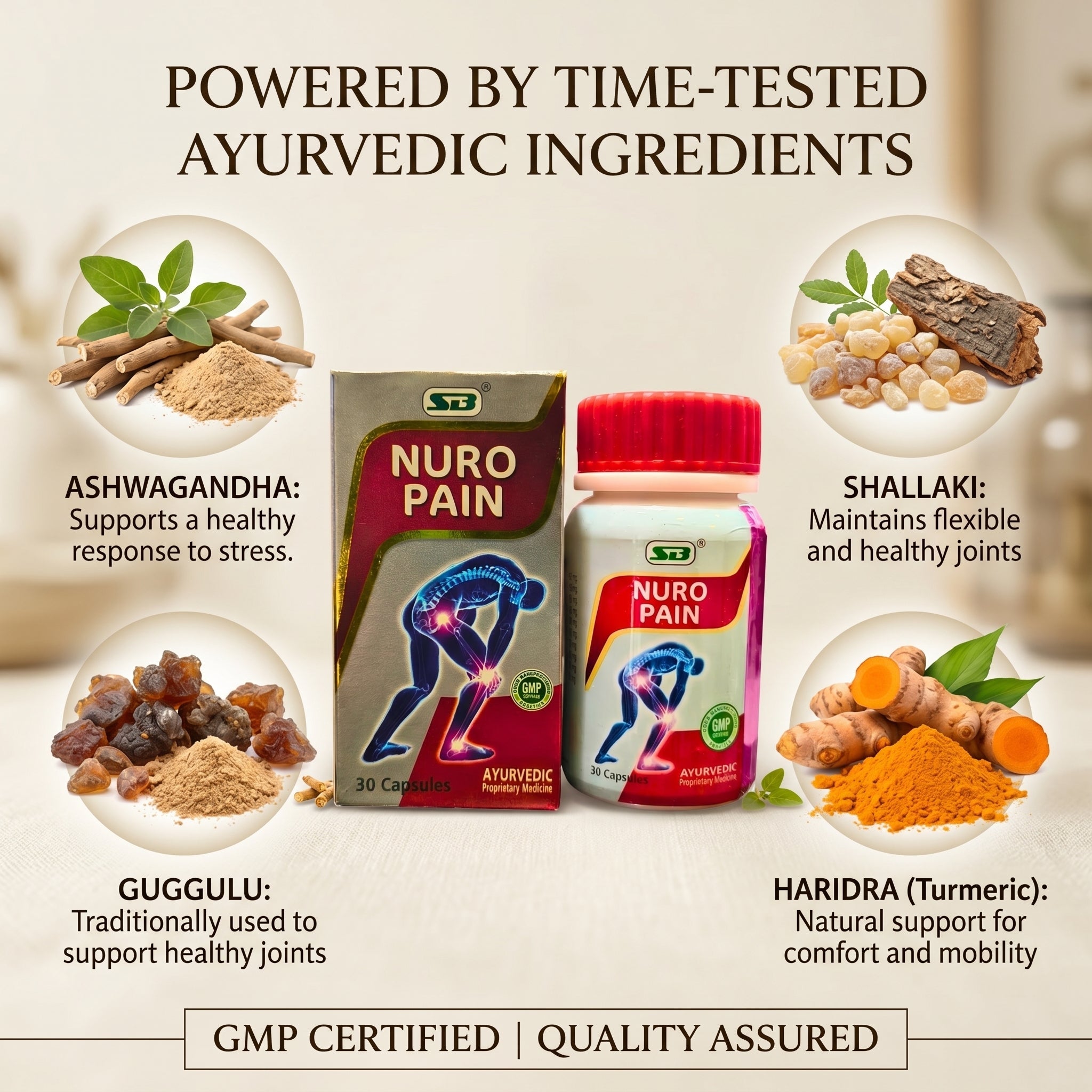 SB Nuro Pain Capsule is an Ayurvedic supplement (pack of 2) - HEALTH AIM PHARMACY
