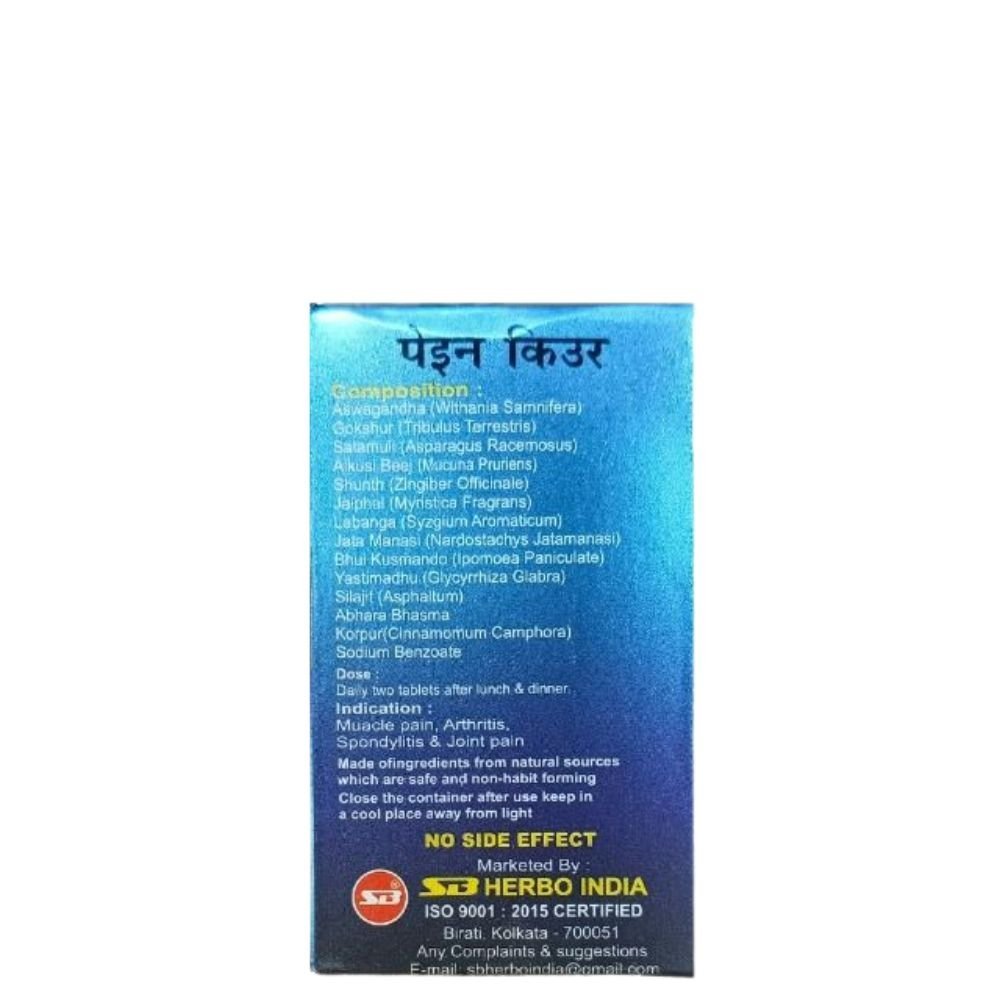SB Pain Cure Tablet For Pain Relief 60 tablet(pack of 2) - HEALTH AIM PHARMACY