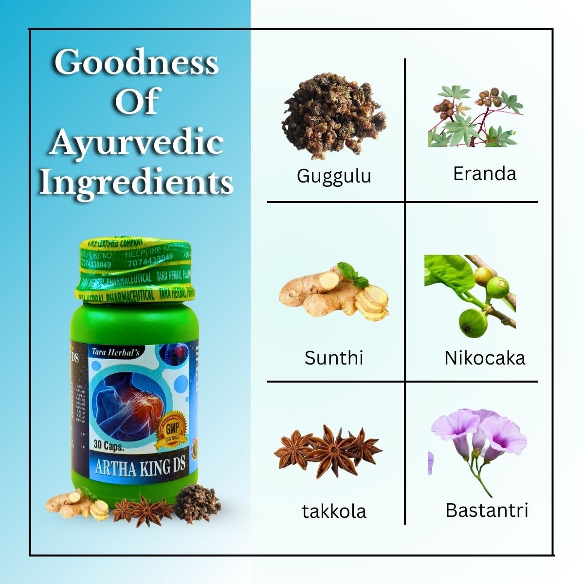 Tara Herbal Artha King Ds Capsule For Arthritis Relief 30 Caps | Pack of 2 - HEALTH AIM PHARMACY