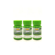 Weight Gain Ever Health Capsule (Pack of 3) - HEALTH AIM PHARMACY