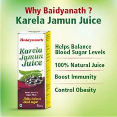 Baidyanath Karela Jamun Juice 1 Litre